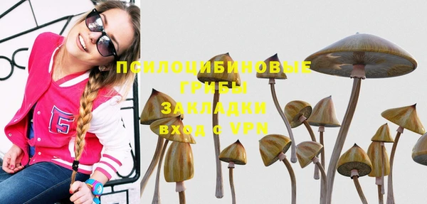 гашик Балабаново